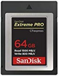 SanDisk Tarjeta Extreme Pro CFexpress Tipo B de 64 GB con hasta 1700 MB/s para vídeos Raw 4K