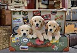 Educa Borras - Genuine Puzzles, Puzzle 500 piezas, Cachorros en el equipaje (17645)