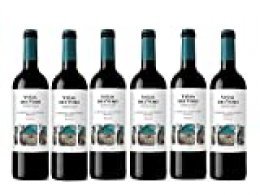 Viñas Del Vero Tinto Cabernet-Merlot - Vino D.O. Somontano - 6 botellas x botellas de 750 ml - Total: 4500 ml